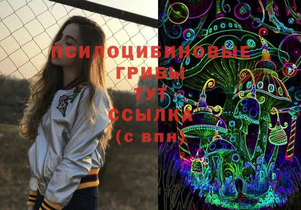 не бодяженный Кукмор