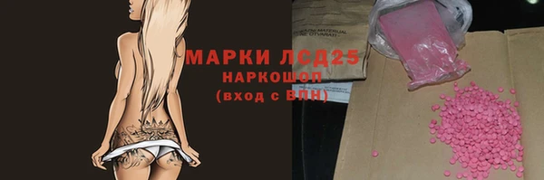 ГАЛЛЮЦИНОГЕННЫЕ ГРИБЫ Лагань
