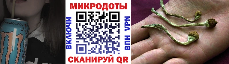 Псилоцибиновые грибы Psilocybe  Купить закладки  Нижний Ломов 
